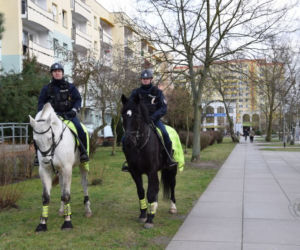 Patrole konne w Policach