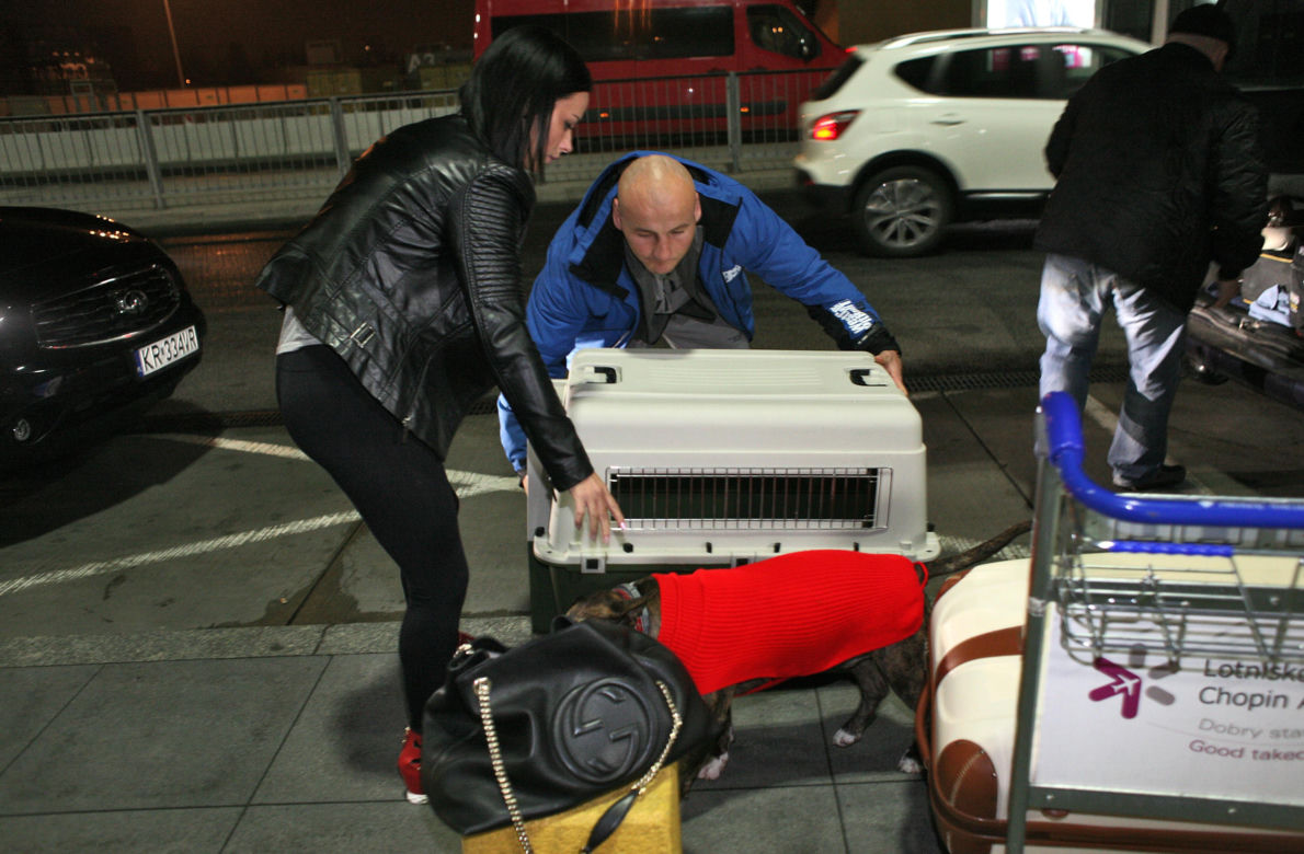 Artur Szpilka i Cycu