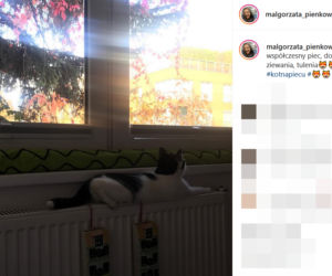 Tak mieszka Małgorzata Pieńkowska