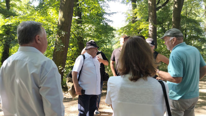 Badania georadarem w Parku Sanguszków w Tarnowie