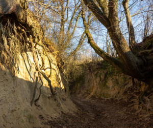 Słynna atrakcja turystyczna stwarza ogromne zagrożenie