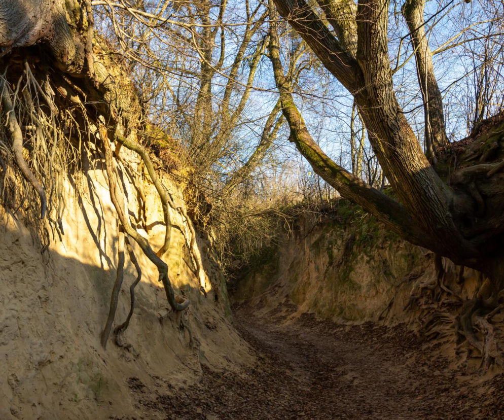 Słynna atrakcja turystyczna stwarza ogromne zagrożenie