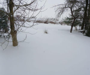 Atak zimy na wybrzeżu. Burze śnieżne, zasypane drogi i alerty IMGW