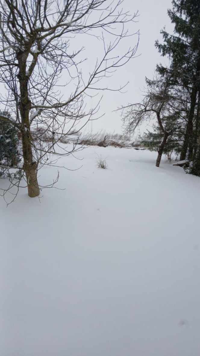Atak zimy na wybrzeżu. Burze śnieżne, zasypane drogi i alerty IMGW