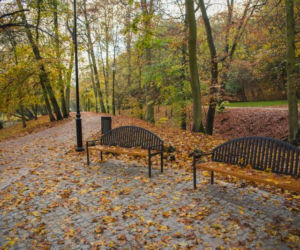 Park Oruński