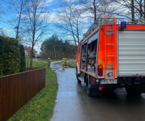 Interwencje Strażaków przy likwidacji szkód spowodowanych przez gwałtowny wiatr i burze