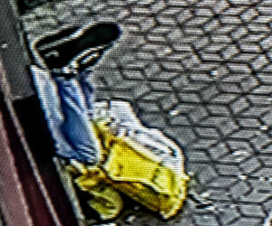  Loki ruszył tropem i doprowadził policję prosto pod drzwi złodzieja