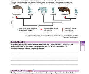 Arkusz maturalny CKE - biologia rozszerzona 2026
