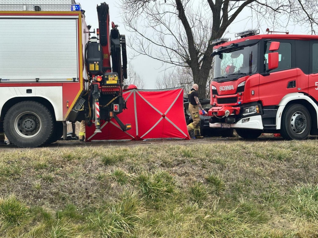 Poważny wypadek pod Warszawą. Malutki peugeot uderzył w drzewo. Nie żyją dwie osoby