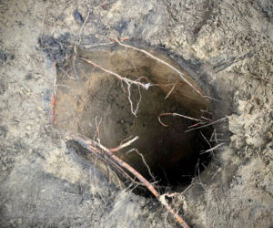 Gigantyczny podkop pod polsko-białoruską granicą. 50 cudzoziemców wciąż poszukiwanych