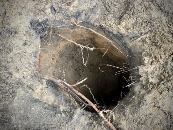 Gigantyczny podkop pod polsko-białoruską granicą. 50 cudzoziemców wciąż poszukiwanych