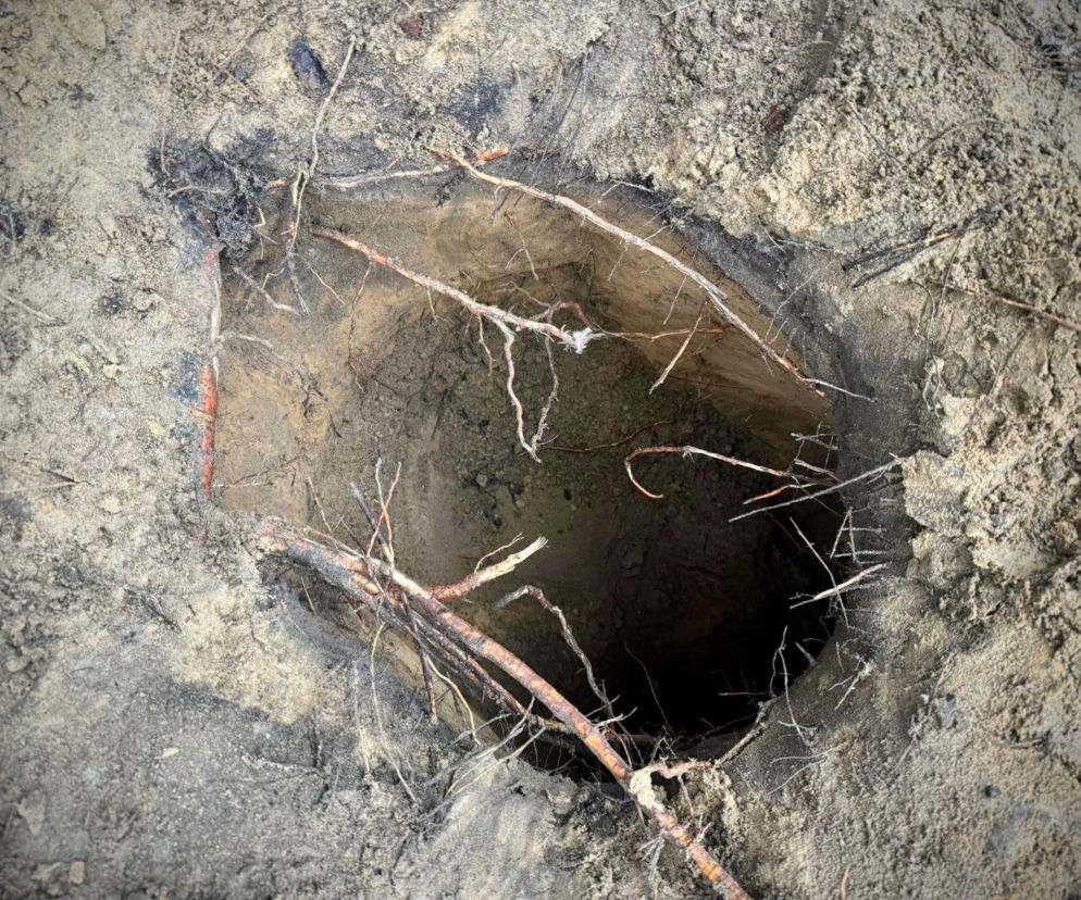 Gigantyczny podkop pod polsko-białoruską granicą. 50 cudzoziemców wciąż poszukiwanych