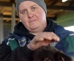 Nowy Rolnik szuka żony