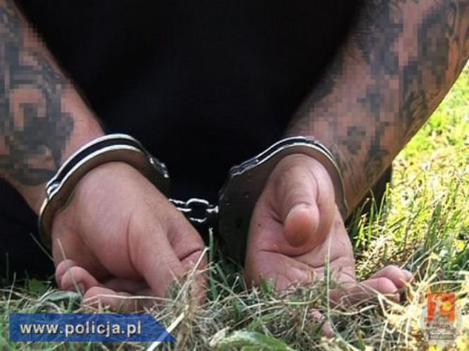Policja rozbiła gang samochodowy z Wołomina. WIDOWISKOWA akcja na autostradzie A2