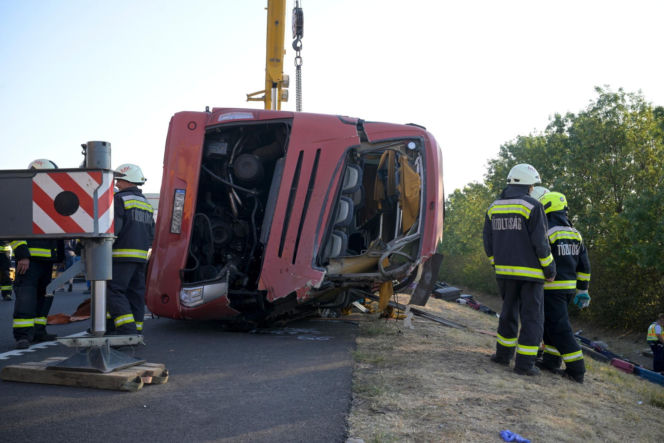 W ostatniej chwili zrezygnował z pielgrzymki. "Opatrzność czuwa nade mną"