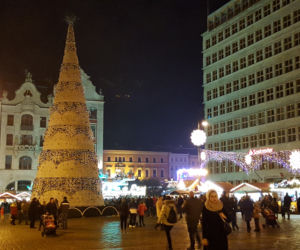 W centrum Wrocławia rozbłysły już świąteczne ozdoby
