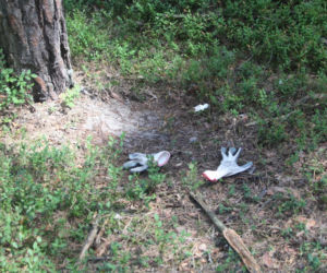 Tragedia podczas wycinki drzew. Olbrzymi konar zmiażdżył Pawła w lesie