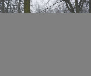 Pierwsza miłość, Karol (Karol Strasburger)