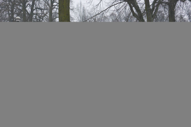 Pierwsza miłość, Karol (Karol Strasburger)