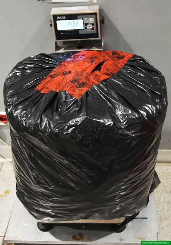 Drops wyniuchał 82 kg marihuany. Wielki przemyt na Lotnisku Chopina