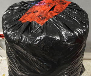 Drops wyniuchał 82 kg marihuany. Wielki przemyt na Lotnisku Chopina