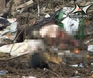 Makabryczne zdjęcia ze Smoleńska - ciała i resztki samlotu - 18+ 