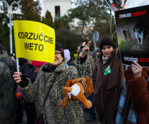 Wielki Marsz dla Zwierząt po wecie prezydenta