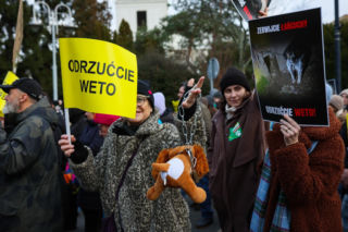 Wielki Marsz dla Zwierząt po wecie prezydenta