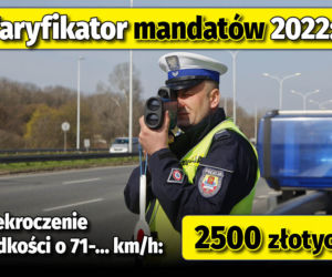 Taryfikator mandatów 2022 