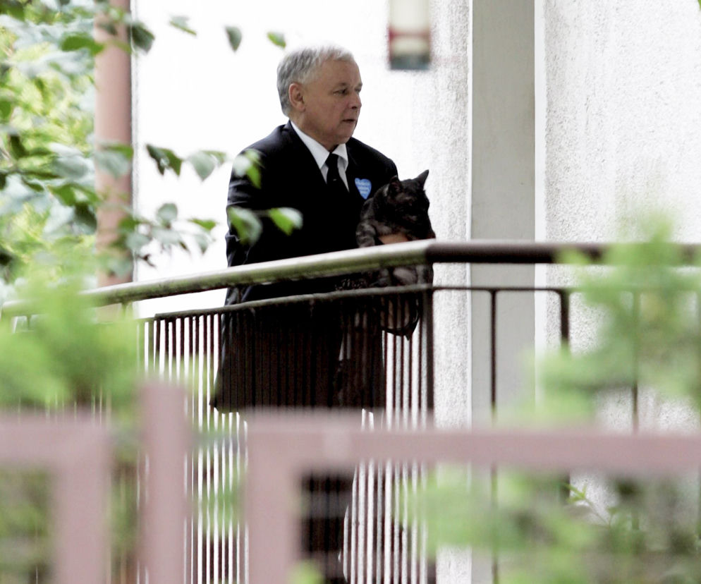 Jarosław Kaczyński uwielbia koty