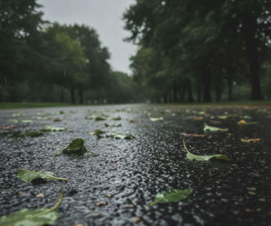 Weekend w Szczecinie z nagłym zwrotem akcji. Jeden dzień może pokrzyżować plany
