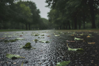 Weekend w Szczecinie z nagłym zwrotem akcji. Jeden dzień może pokrzyżować plany