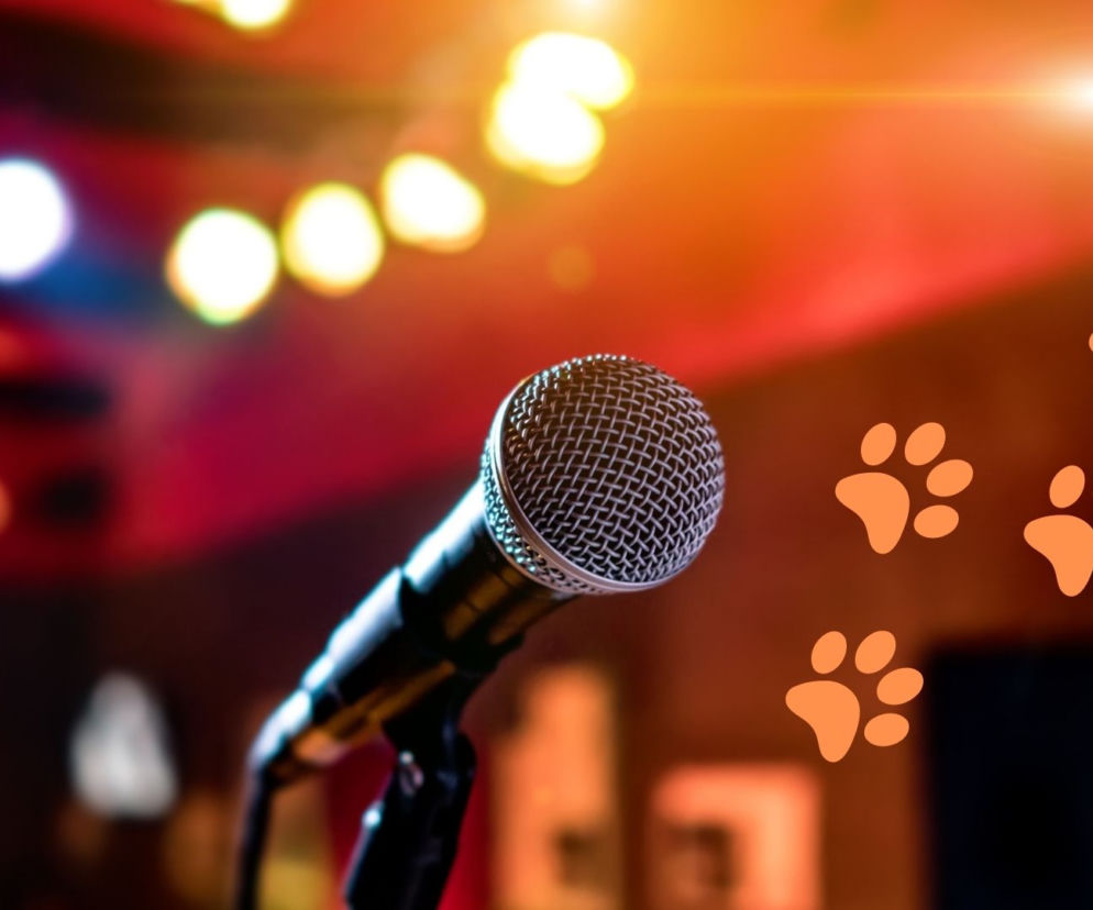 Otwarte Klatki zapraszają na drugą edycję Karaoke dla Zwierzaka [DATA, MIEJSCE, ZBIÓRKA]