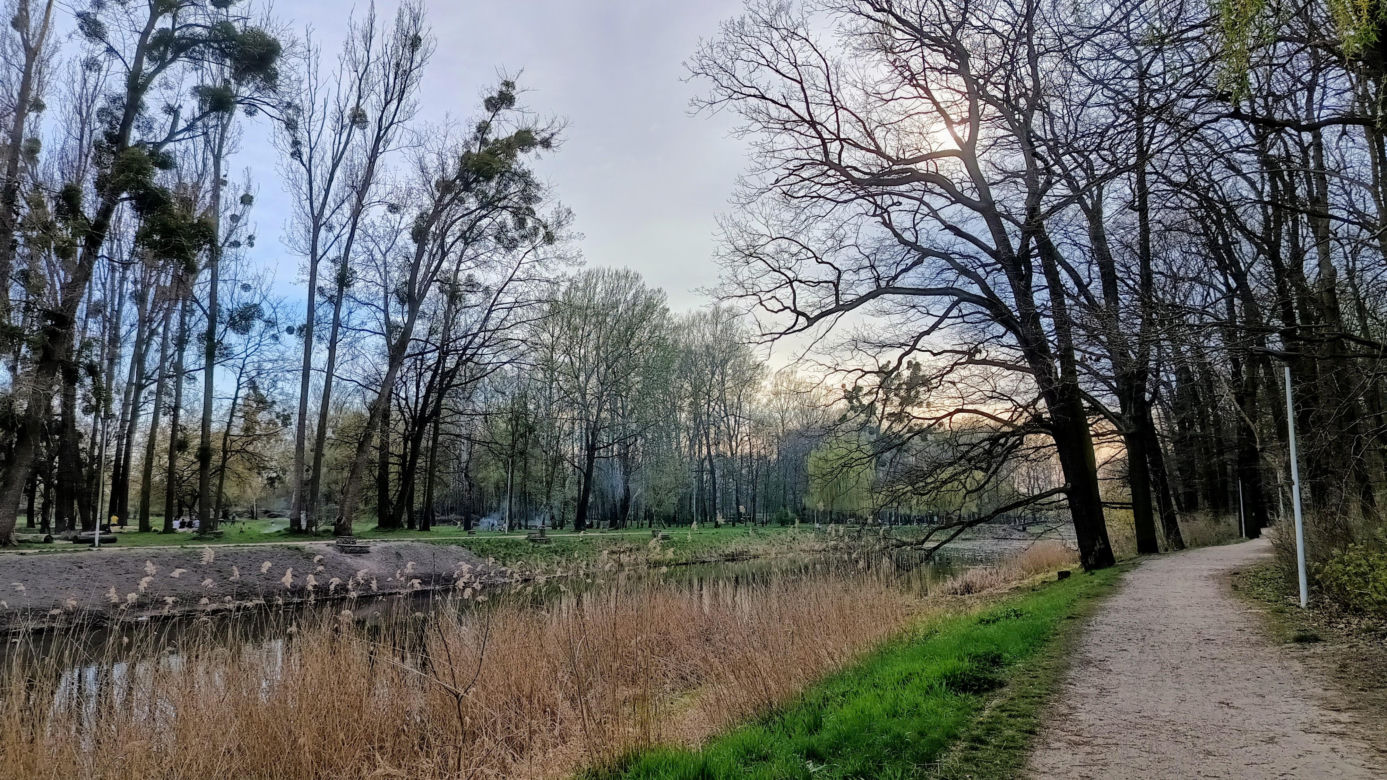 Rybaki, Toruń