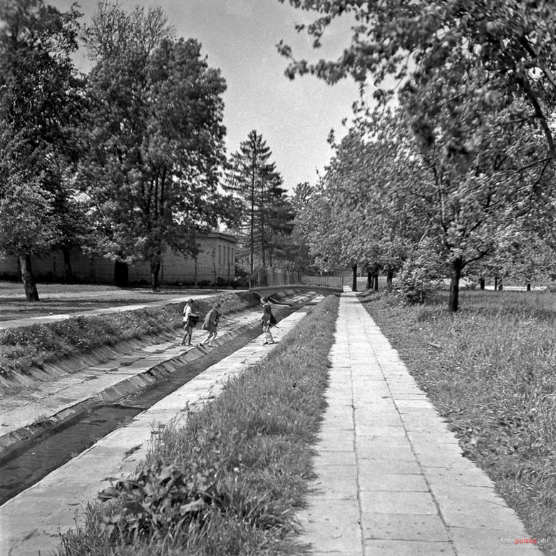 Radom 40 lat temu
