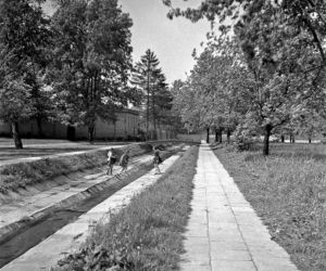 Radom 40 lat temu
