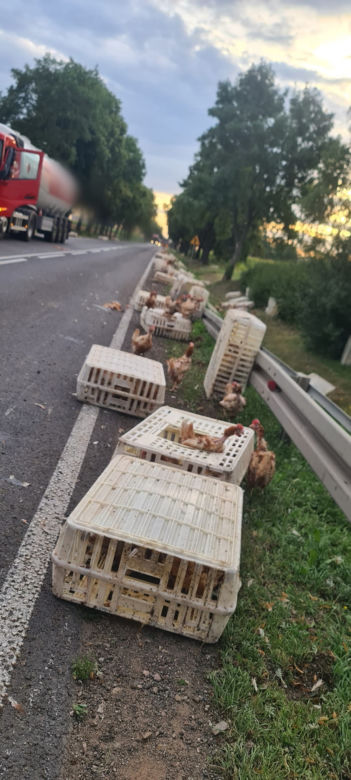 Wypadek w Świerczynku