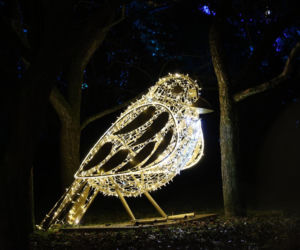 Park iluminacji 2023 w Lublinie