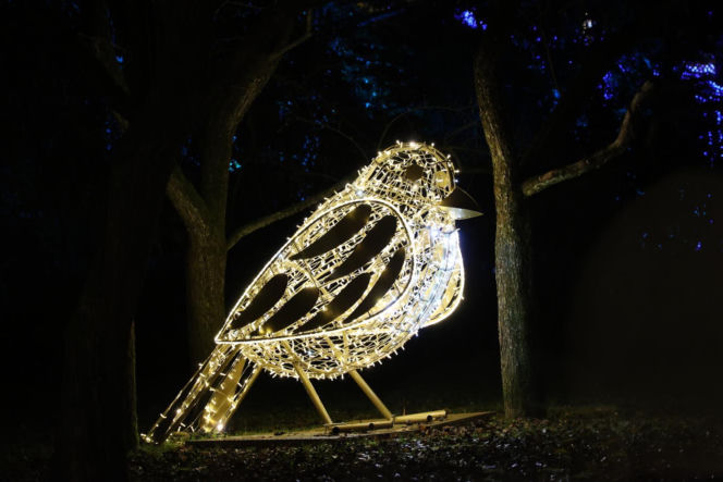 Park iluminacji 2023 w Lublinie