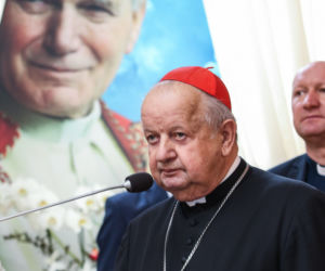 Czy Dziwisz mógł oszukać papieża?