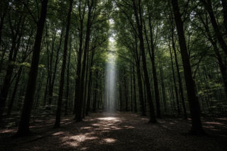 Kradzież fotopułapek w Zwoleniu. Czym myśliwi doprowadzili go do szału?