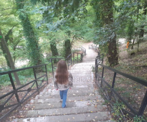 Arboretum Bolestraszyce