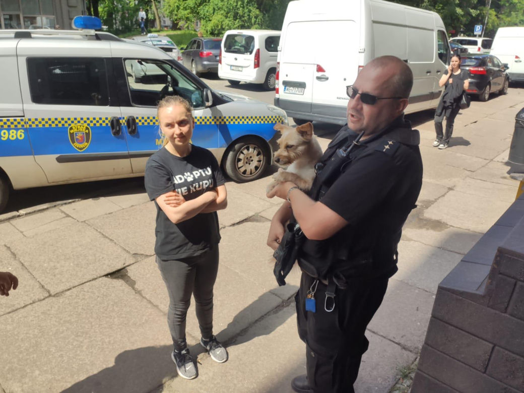 Pies zamknięty w rozgrzanym samochodzie