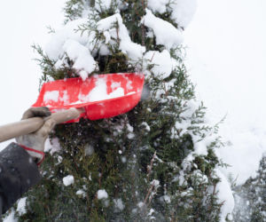 Odśnieżanie ogrodu