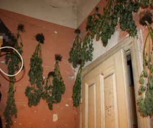 Szokujące odkrycie w mieszkaniu w centrum Krakowa! Mężczyźnie grozi dziesięć lat więzienia
