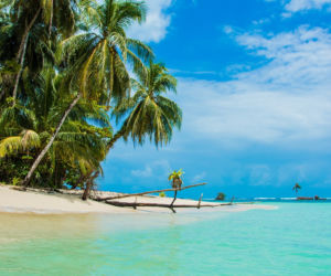  Panama