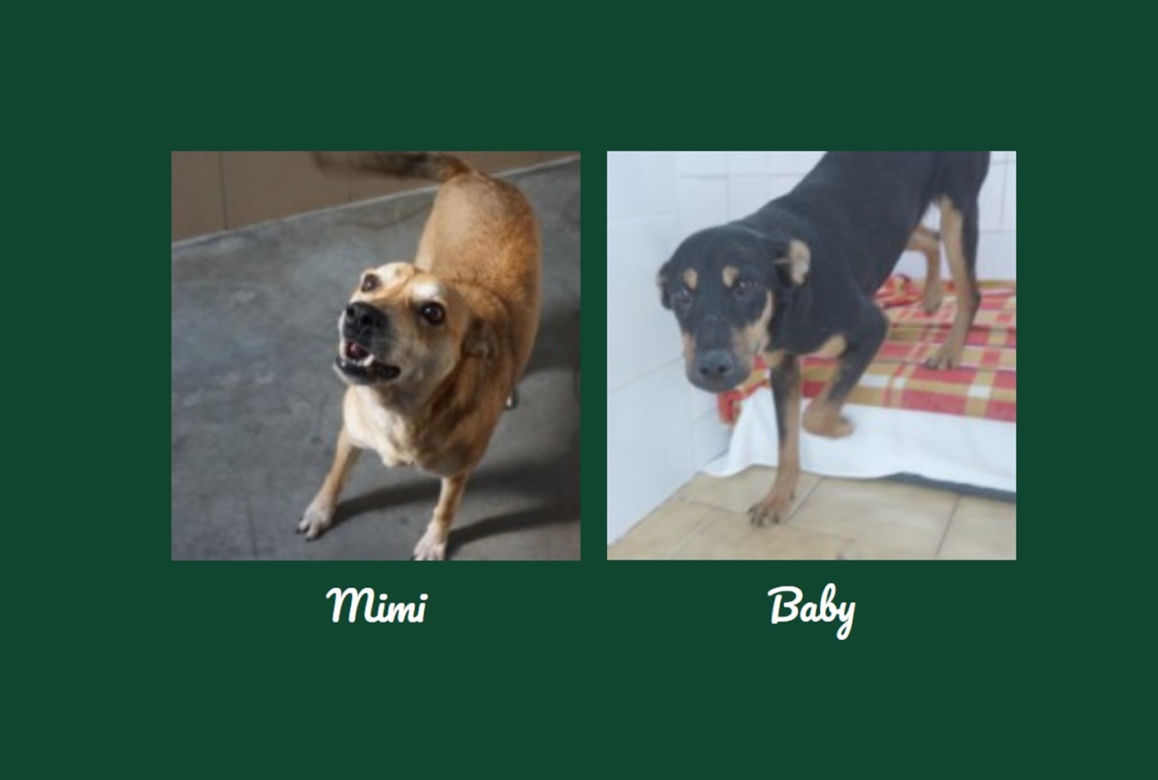 Mimi i Baby
