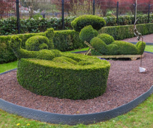 Topiary - roślinne rzeźby. Z jakich roślin i jak je tworzyć?