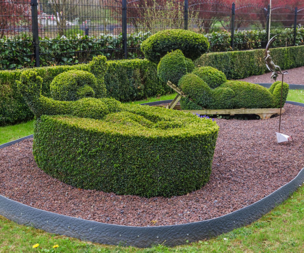 Topiary - poznaj sztukę tworzenia roślinnych rzeźb w ogrodzie!