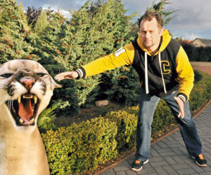 Puma grasuje na Pomorzu